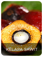 Aplikasi Pada Kelapa Sawit