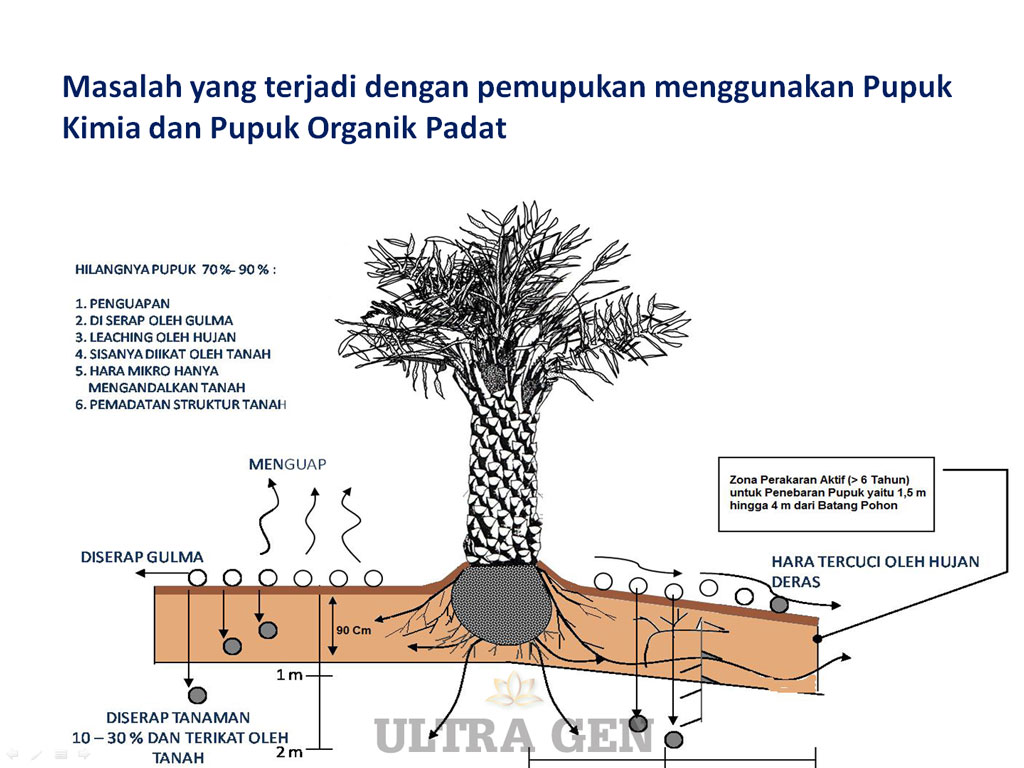 Solusi untuk lahan sawit bermasalah