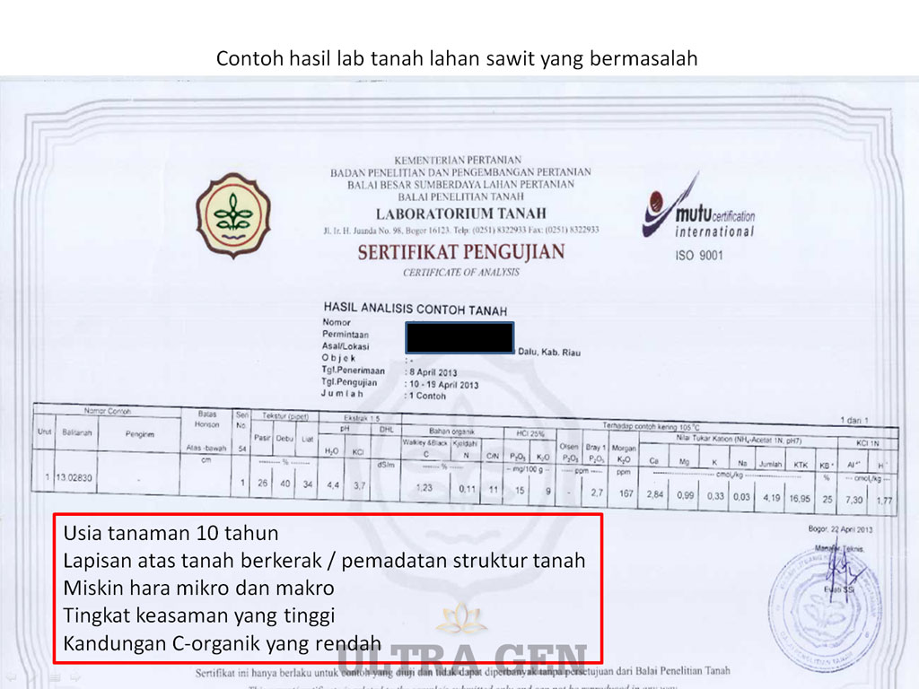 Solusi untuk lahan sawit bermasalah