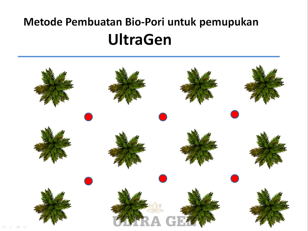 Solusi untuk lahan sawit bermasalah